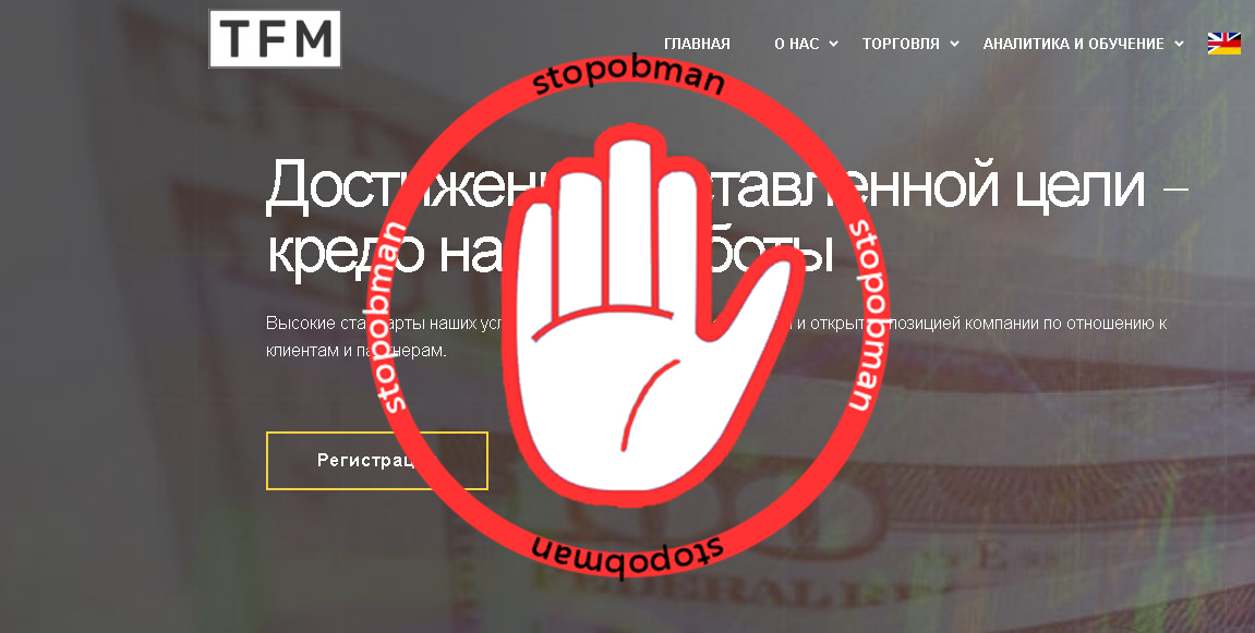 главная страница сайта брокера TFM