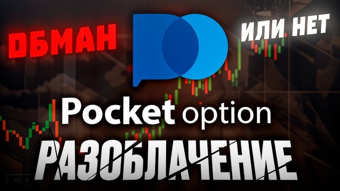 Pocket Option — игра, в которой выигрывает только платформа